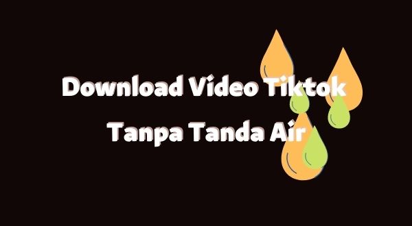Download Video Tiktok Tanpa Tanda Air